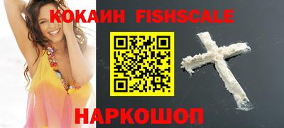a pvp Новозыбков