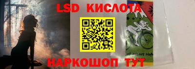 a pvp Новозыбков