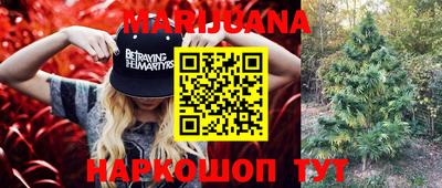 a pvp Новозыбков