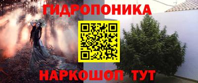 МДПВ Новодвинск