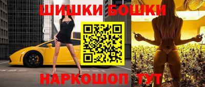 a pvp Новозыбков