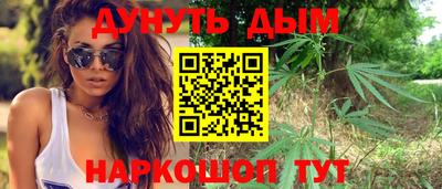 МДПВ Новодвинск