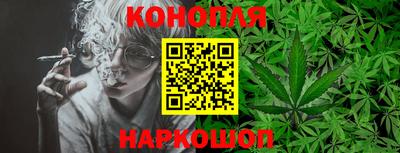 a pvp Новозыбков