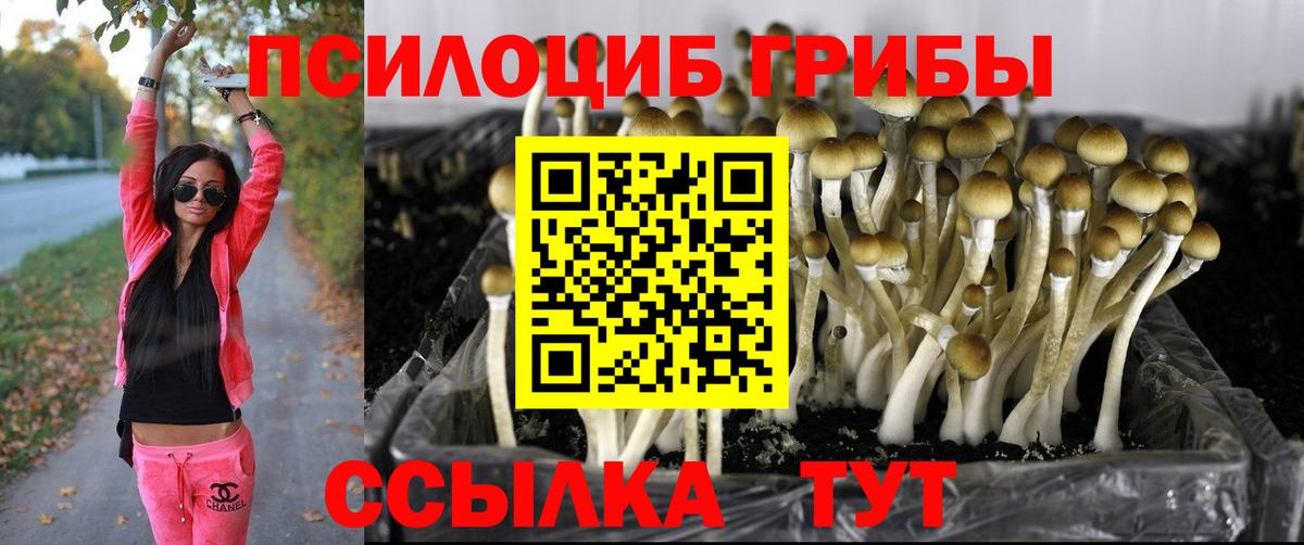Тихорецк  Галлюциногенные грибы MAGIC MUSHROOMS  Вход с VPN 