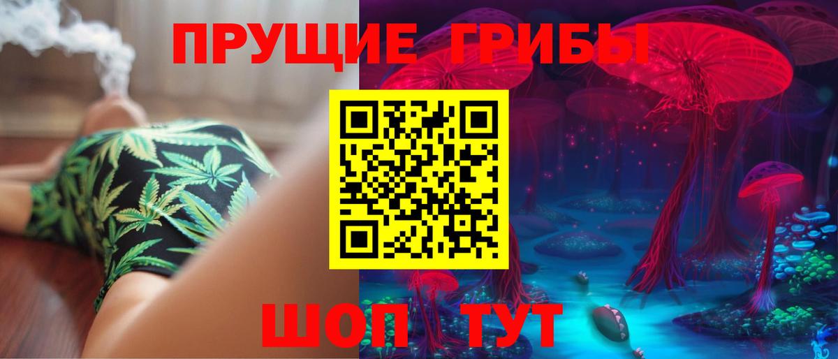 Галлюциногенные грибы Magic Shrooms Тихорецк